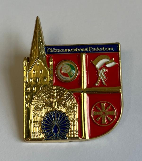 PIN BdSJ DV (Heinz-Backove-Abzeichen)